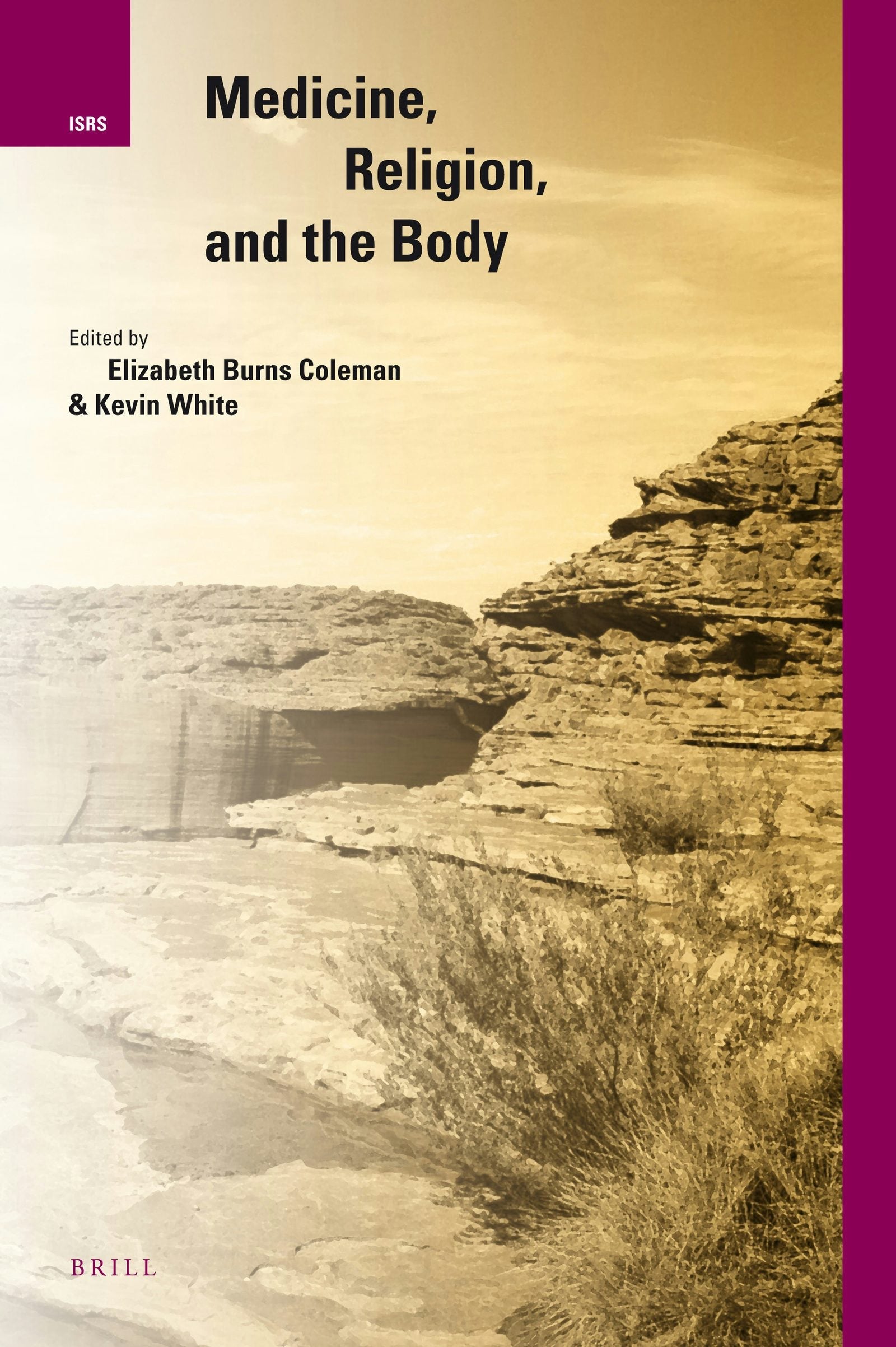 Book cover image for Medicine, Religion, and the Body ISBN: 9789004179707